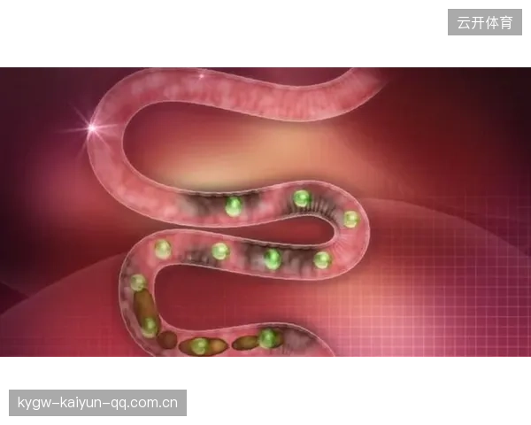 利物浦必须做出人员改革：重塑辉煌的关键之路